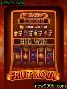 Explorando o Universo de FruitNova: Um Mergulho no Mundo das Frutas Virtuais